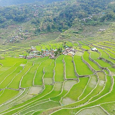 Banaue Transient House Bed And Breakfast Dış mekan fotoğraf